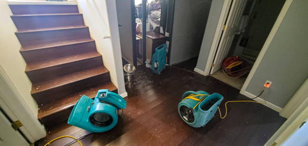 Best Ceiling water damage repair  in Fort Mitchell, KY