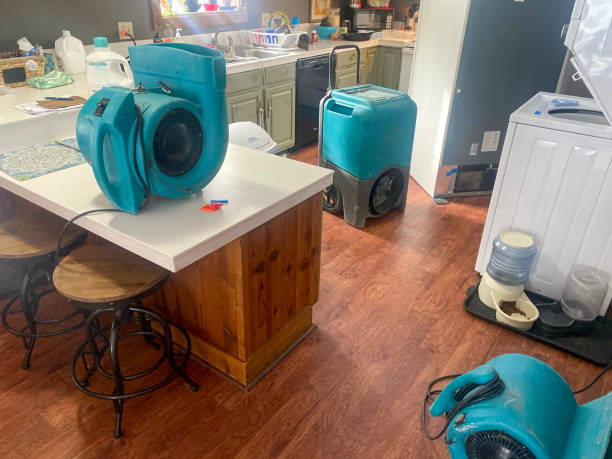 Best Professional water damage repair  in Fort Mitchell, KY