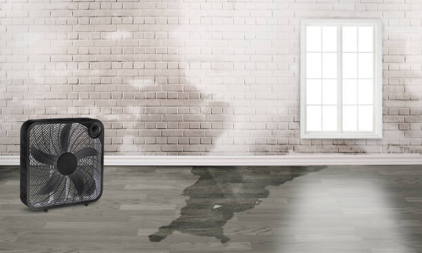  Fort Mitchell, KY Water damage restoration Pros