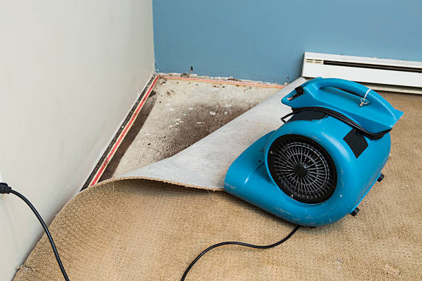 Best 24/7 water damage repair  in Fort Mitchell, KY